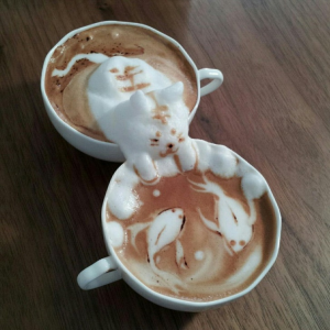 Exemple del mal anomenat cafè 3D